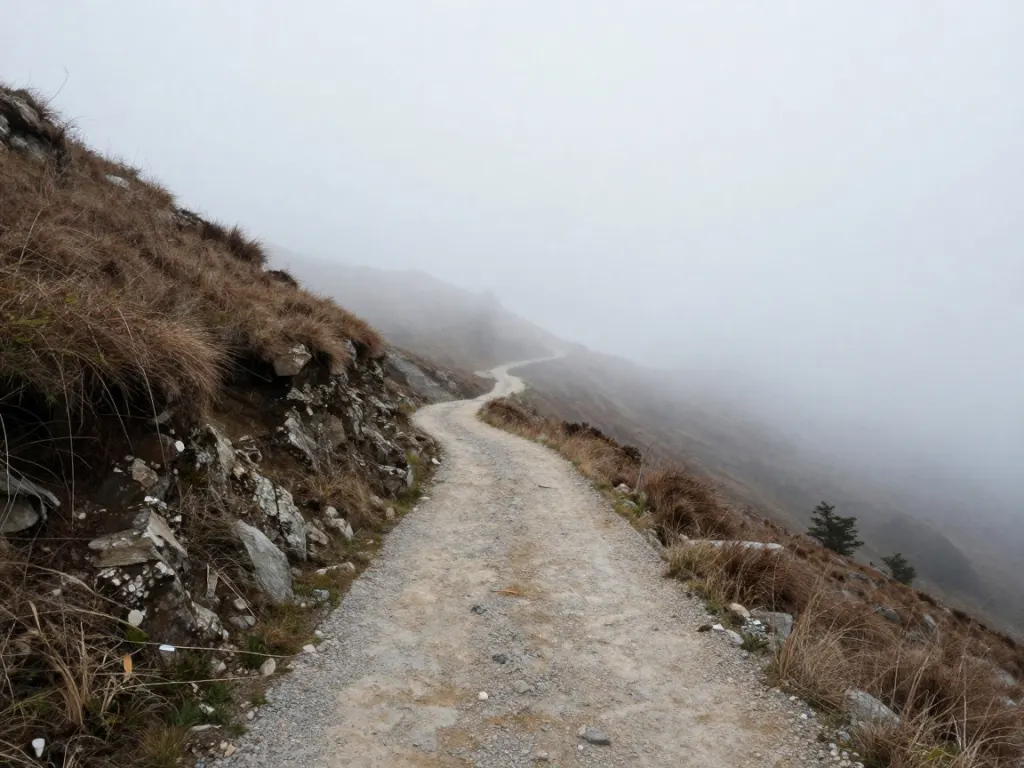 A stony mountain path disappearing into thick fog with rocks and dry grass in the foreground