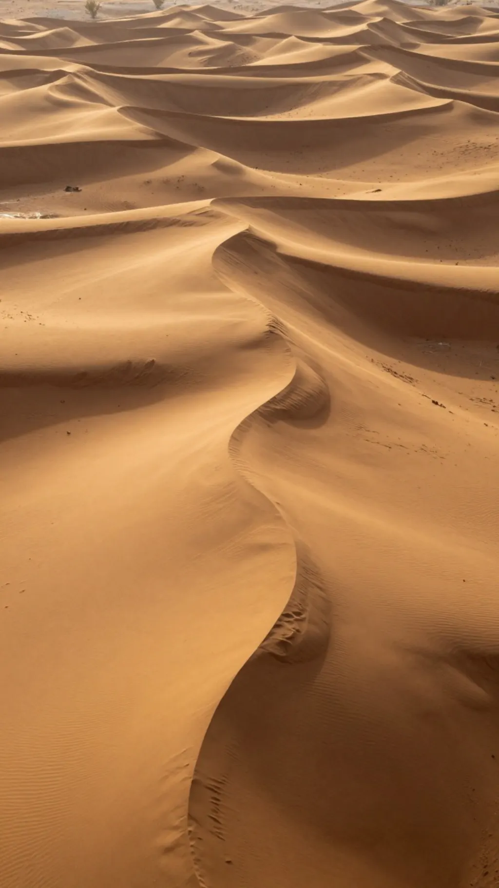 Desert dunes at golden hour from above, long shadows, warm sand tones, empty strip along the top